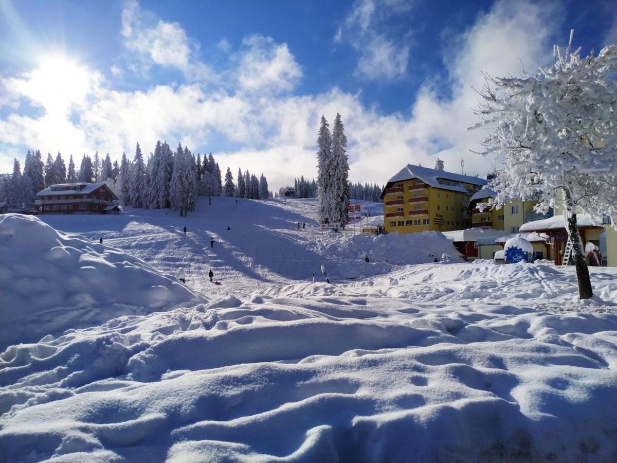 Ferienwohnung Feldberg - Residenz Grafenmatt Экстерьер фото